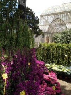 SPRING FAIR AT THE HORTICULTURE GARDENS IN FLORENCE   
