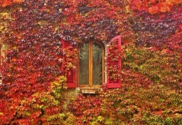 Late summer and autumn in Tuscany